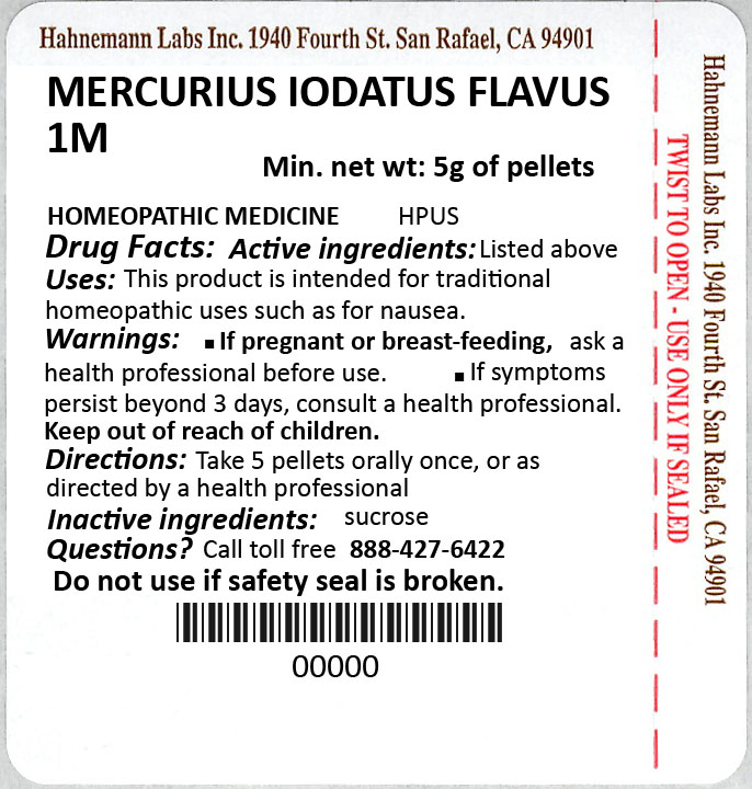 Mercurius Iodatus Flavus 1M 5g