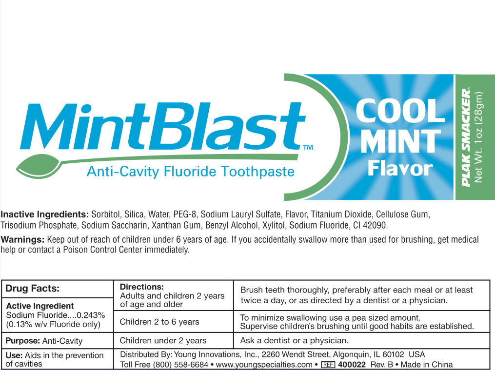 Mint Blast 28 g