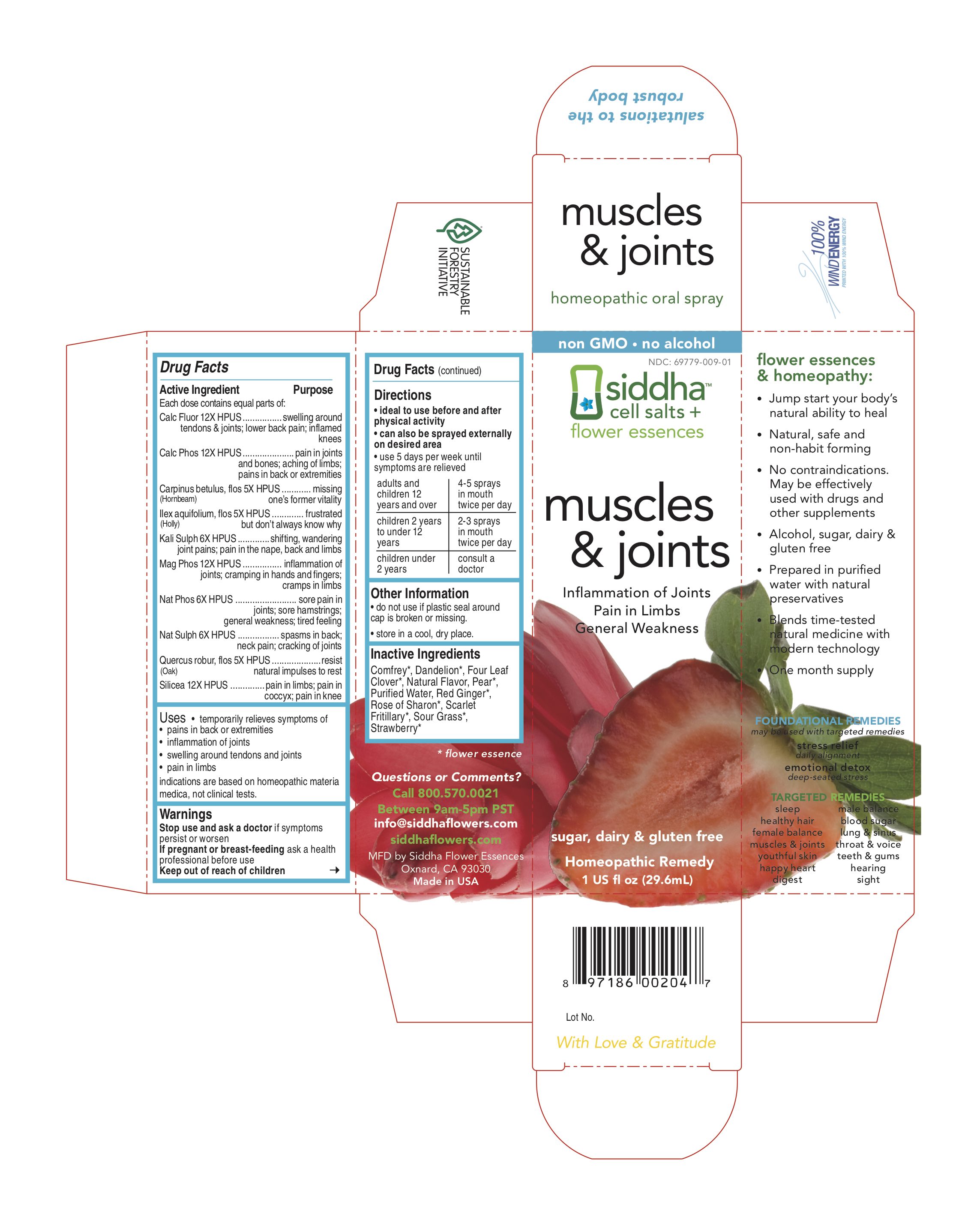 Muscles and Joints Carton