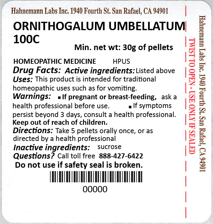 Ornithogalum Umbellatum 100C 30g