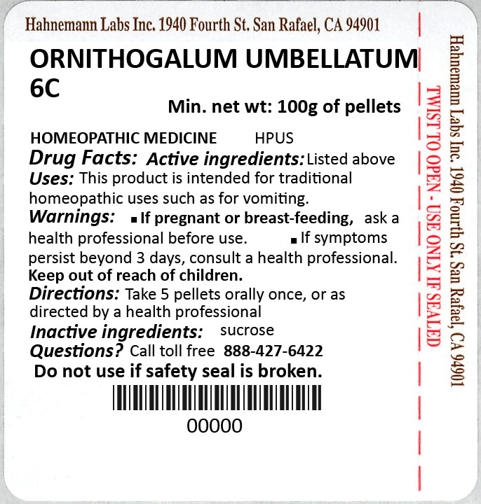 Ornithogalum Umbellatum 6C 100g