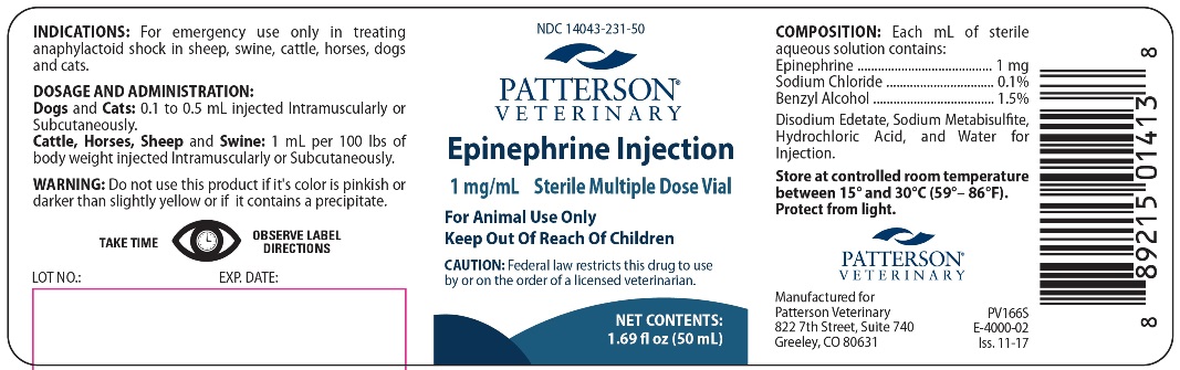EPINEPHRINE INJECTION