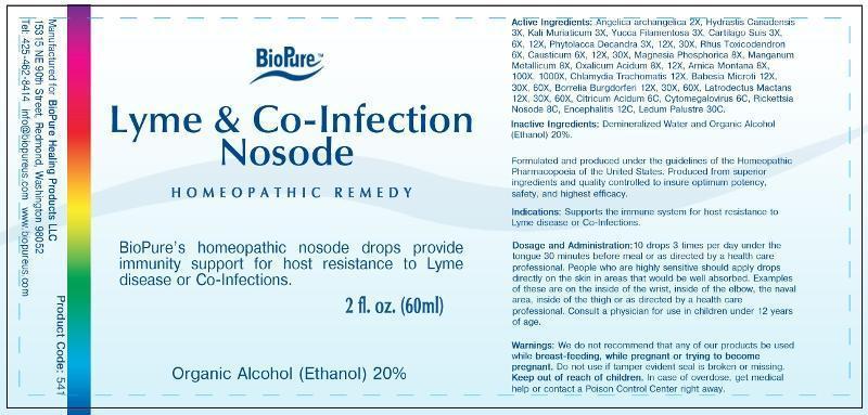 Lyme and Co-Infection Nosode