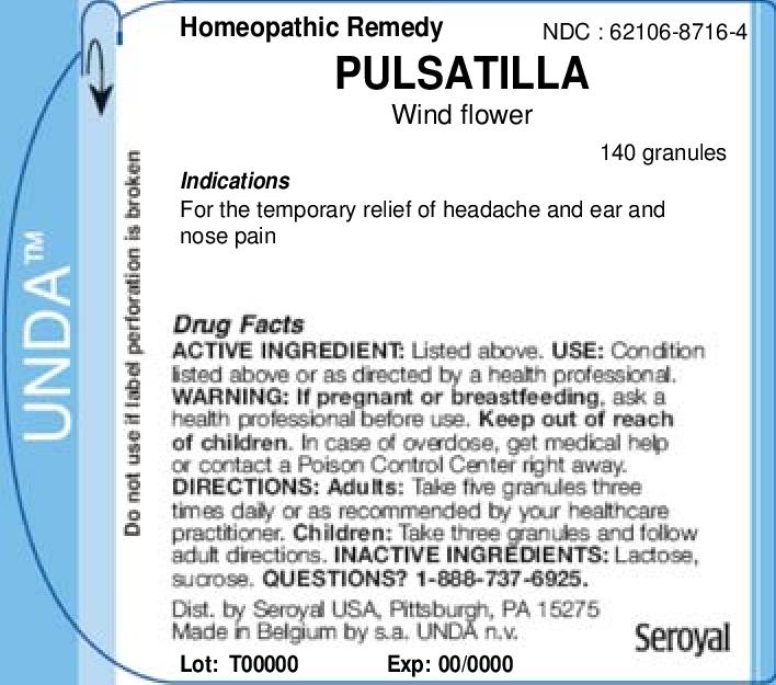 Pulsatilla | Wind Flower Granule Breastfeeding