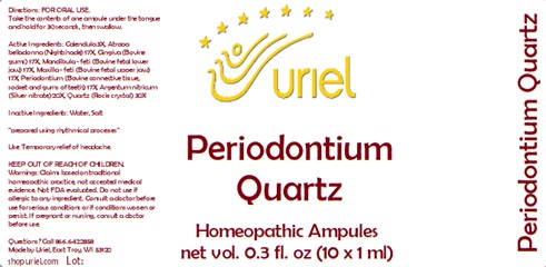 Periodontium Quartz Ampules