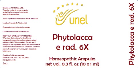 Phytolacca e rad. 6X Ampules