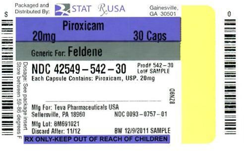 Piroxicam 20 mg  Label Image