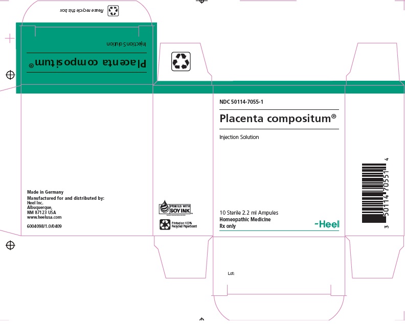 Placenta Compositum Injection.jpg