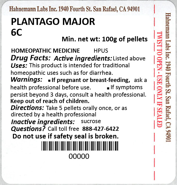 Plantago Major 6C 100g