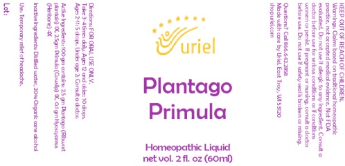 Plantago Primula Liquid