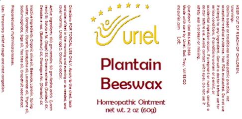 Plantain Beeswax Ointment