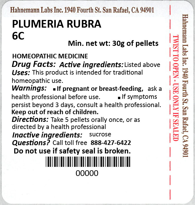 Plumeria Rubra 6C 30g