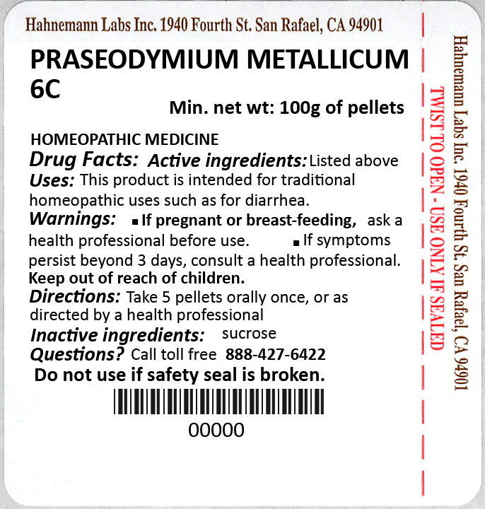 Praseodymium Metallicum 6C 100g