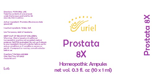Prostata 8X Ampule