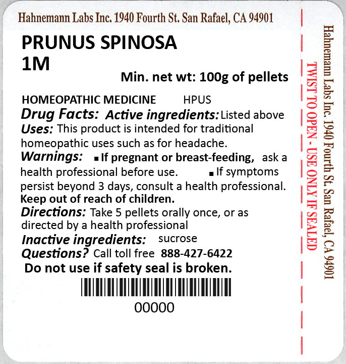 Prunus Spinosa 1M 100g