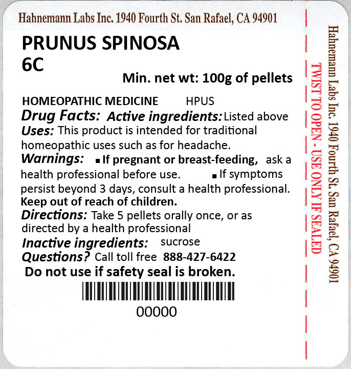 Prunus Spinosa 6C 100g
