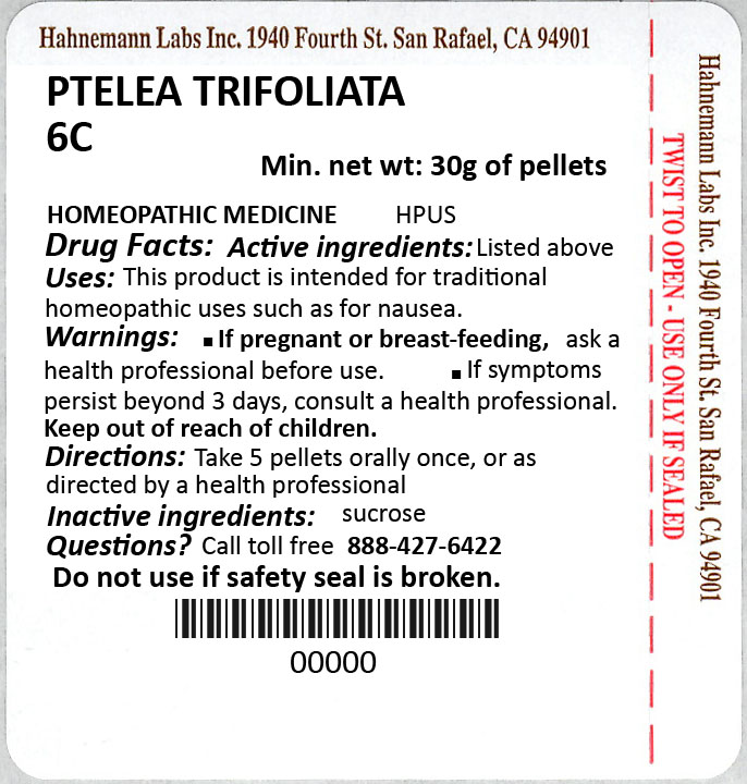 Ptelea Trifoliata 6C 30g