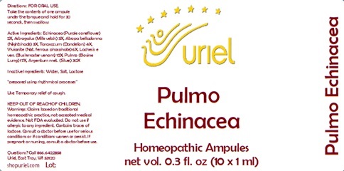 Pulmo Echinacea Ampules