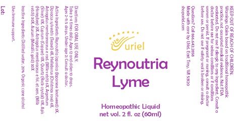 Reynoutria Lyme Liquid