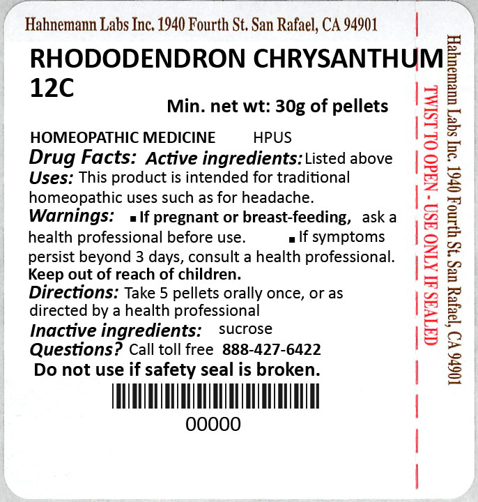 Rhododendron Chrysanthum 12C 30g