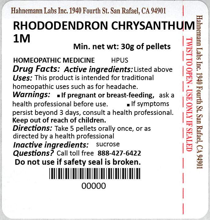 Rhododendron Chrysanthum 1M 30g
