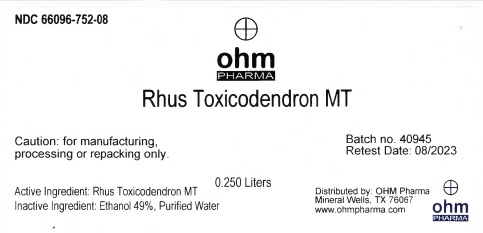 Rhus Toxicodendron MT