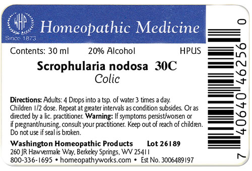 Scrophularia nodosa label example