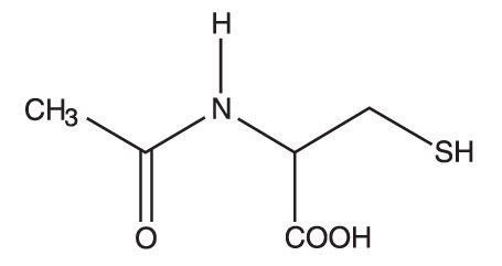 Structure.jpg