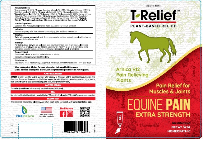 T-Relief Equine Pain Extra Strength.jpg