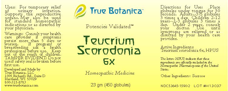 Teucrium Scorodonia 6X