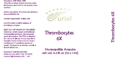 Thrombocytes6Ampules