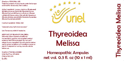Thyreoidea Melissa Ampules