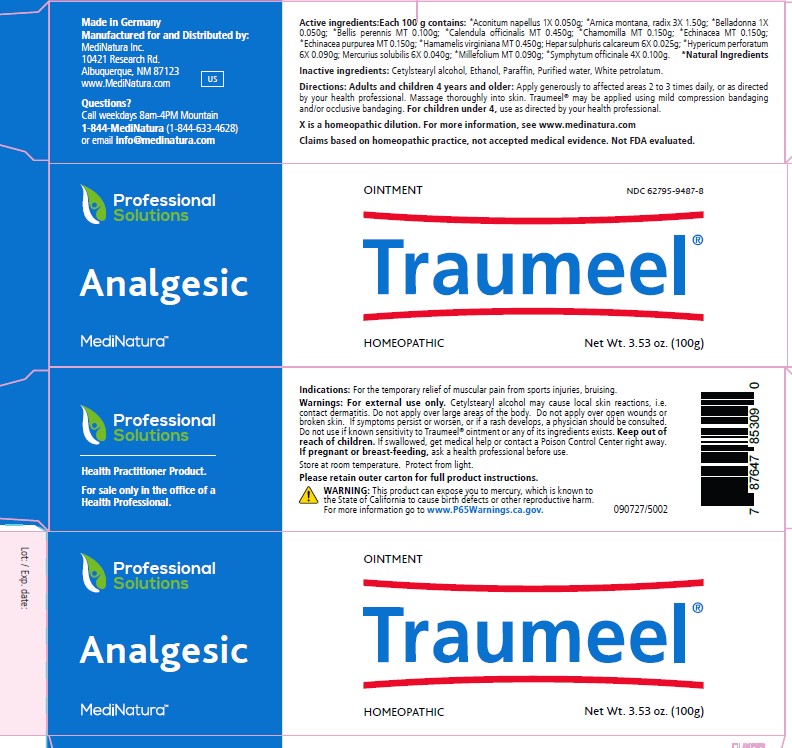 Traumeel Ointment