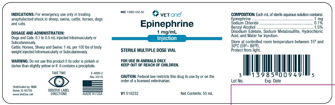 V1-Epinephrine-18