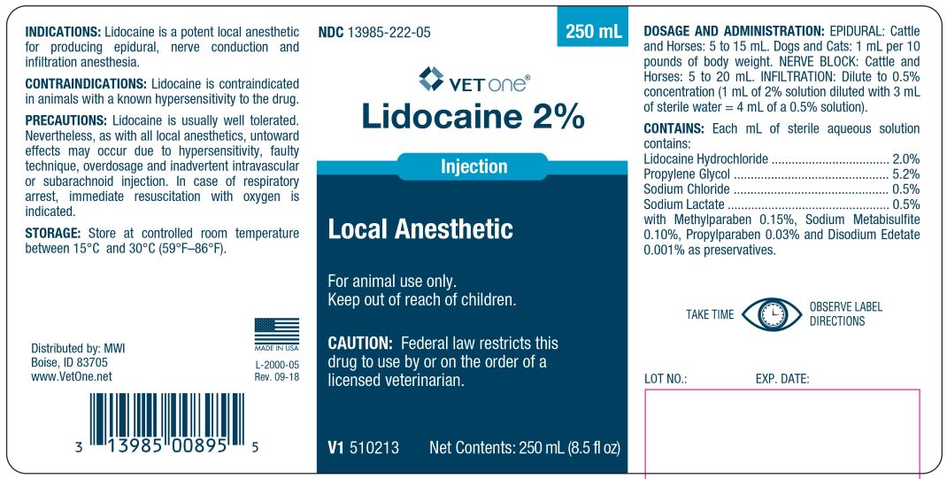 V1-Lidocaine-20