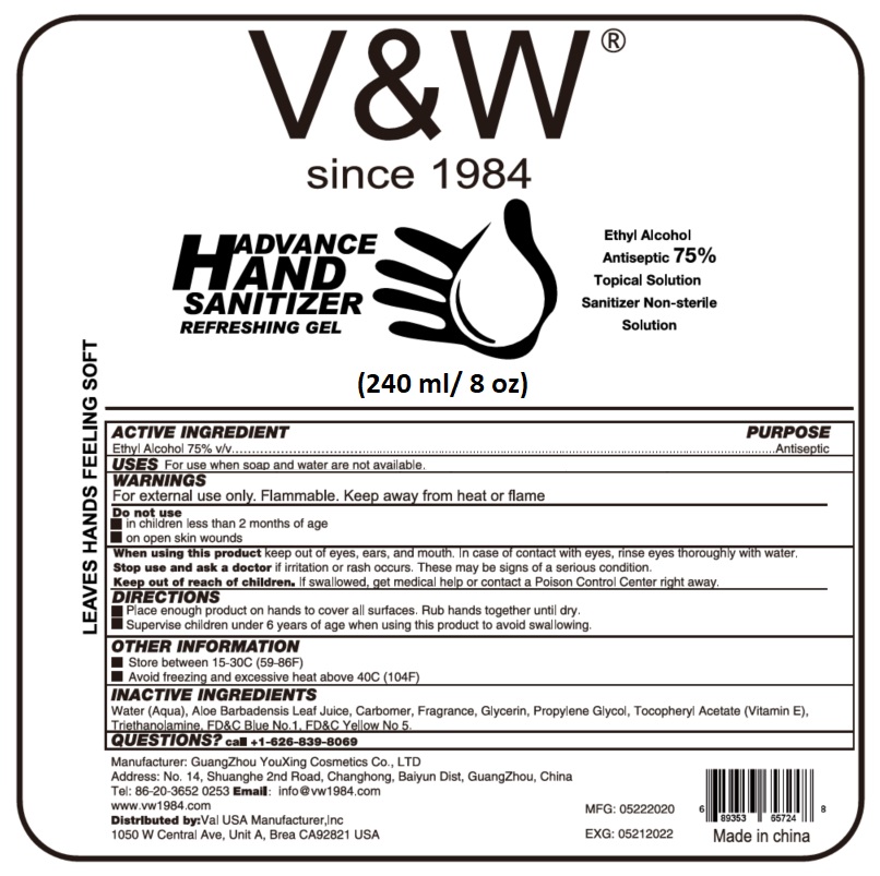 Advance Hand Sanitizer 240 ml/8 oz