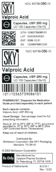 PRINCIPAL DISPLAY PANEL - 250 mg Capsule Bottle Label 