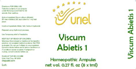 Viscum Abietis 1 Ampules