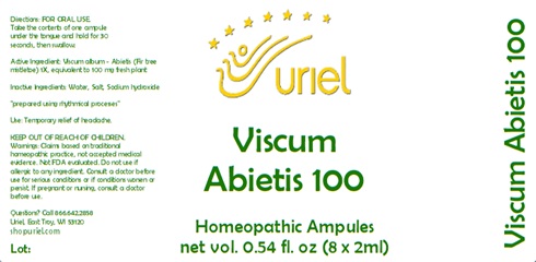 Viscum Abietis 100 Ampules