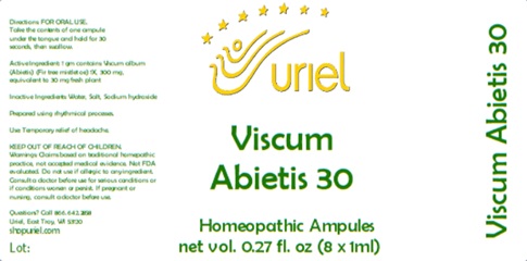 Viscum Abietis 30 Ampules