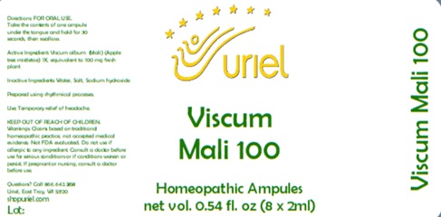 Viscum Mali 100 Ampules