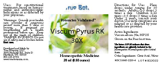 Viscum Pyrus RK30X