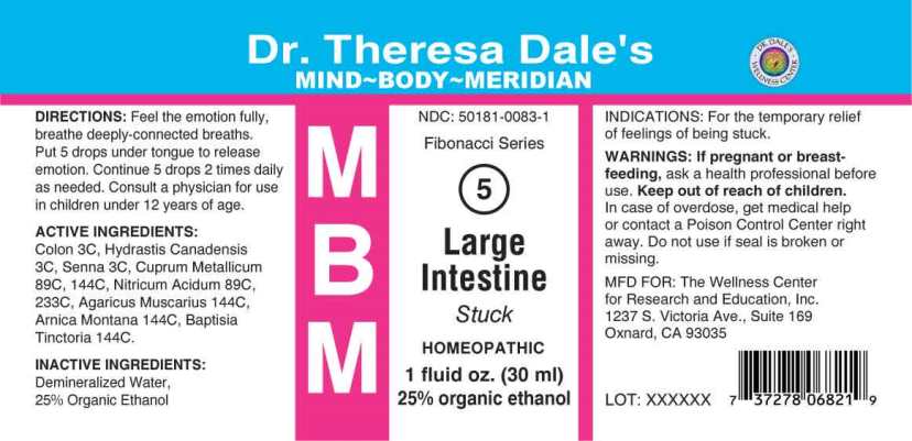 MBM 5 Large Intestine
