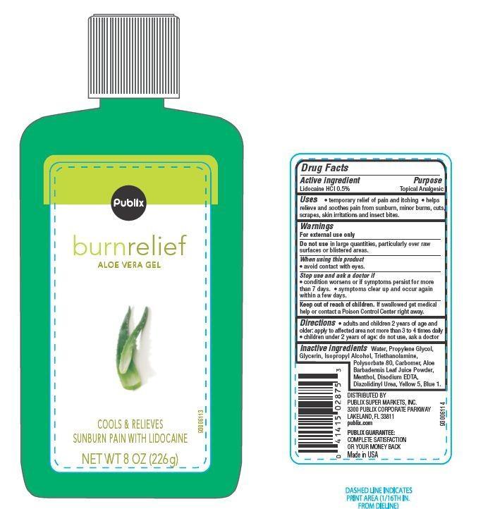 Publix Burn Relief Aloe Vera | Lidocaine Hydrochloride Gel while Breastfeeding