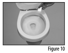 Figure 10 - Flushing patch down a toilet