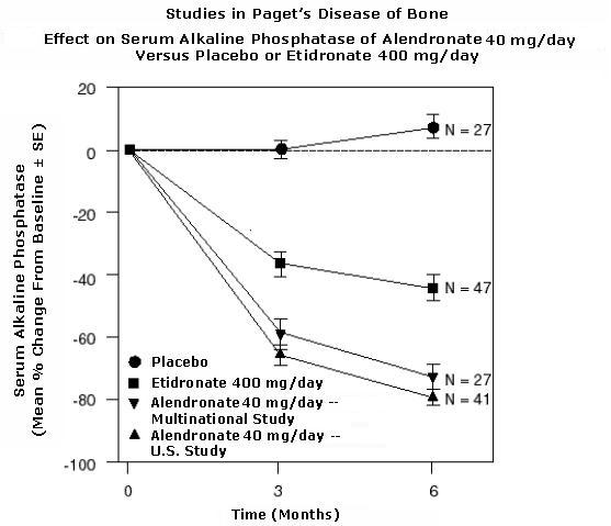 Studies in Paget's Disease of Bone Effect on Serum Alkaline Phosphatase of Alendronate 40 mg/day Versus placebo or Etidronate 400 mg/day 