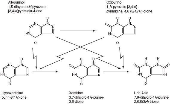 This an image demonstrating that allopurinol is a structural analogue of the natural purine base of hypoxanthine.