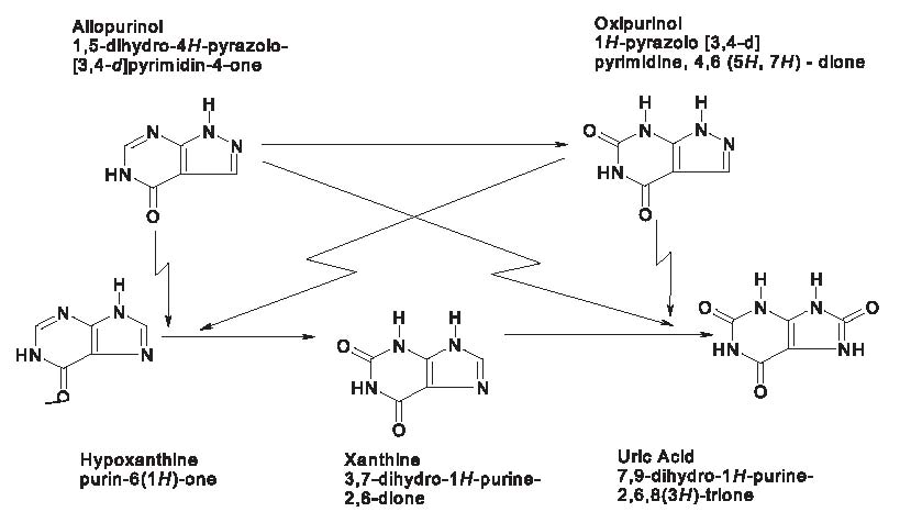 Allopurinol Figure1