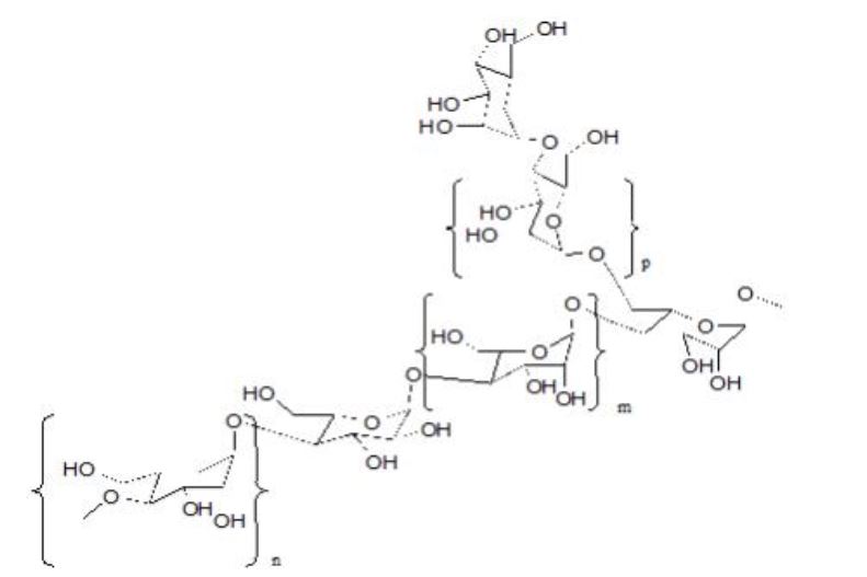 aloe polysaccharides