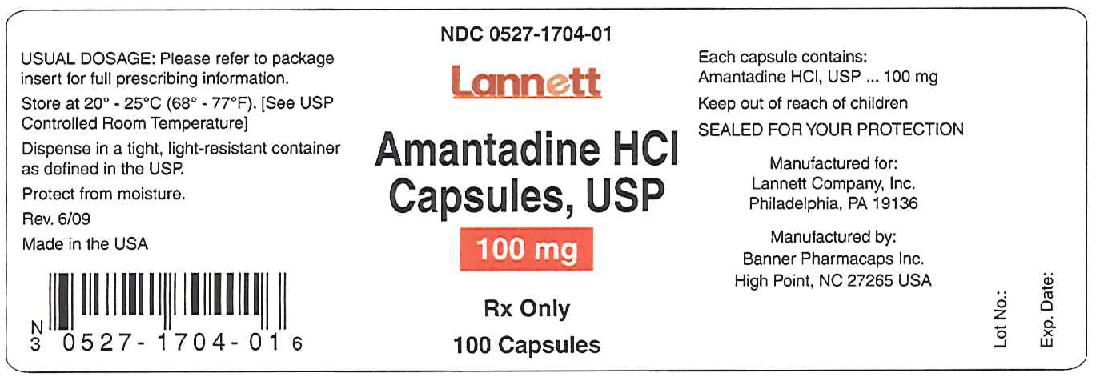 amantadinehcl-100mg-100caps